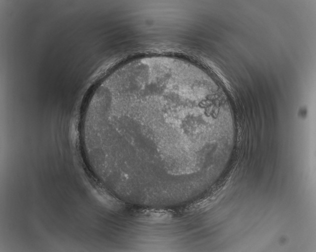 X0000116850443201001191644