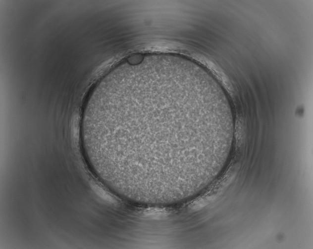 X0000116850445201001191644