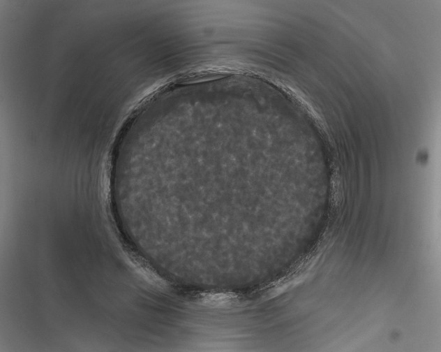 X0000116850446201001191644