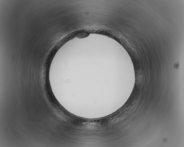 X0000116850448201001191644