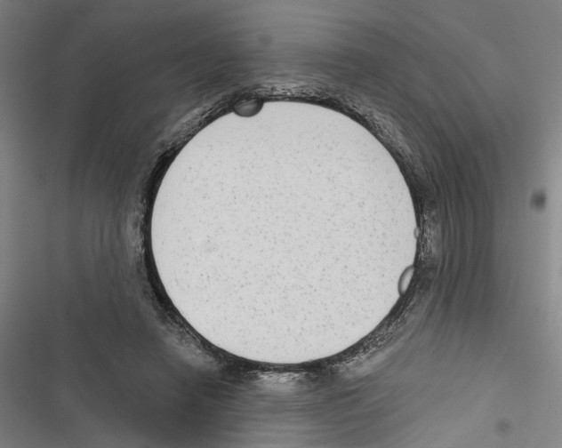 X0000116850450201001191644