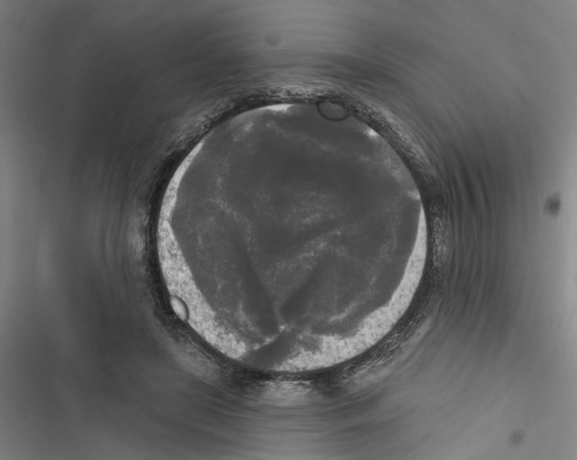 X0000116850451201001191644