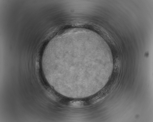 X0000116850452201001191644