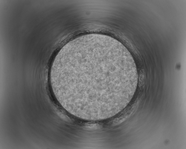 X0000116850454201001191644
