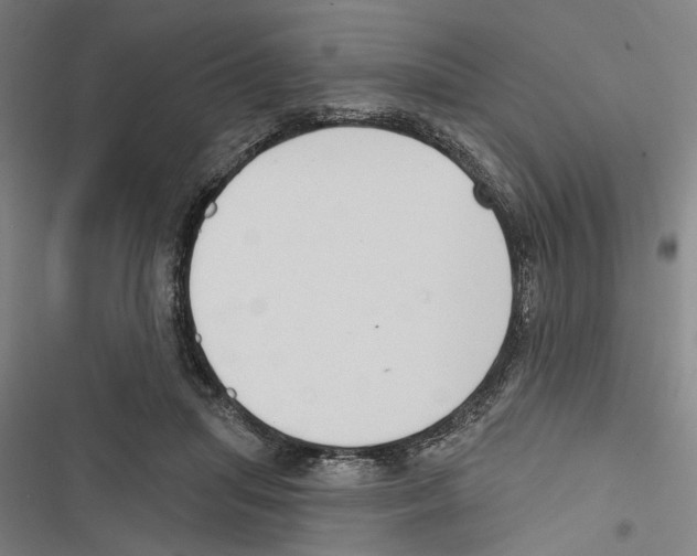 X0000116850455201001191644