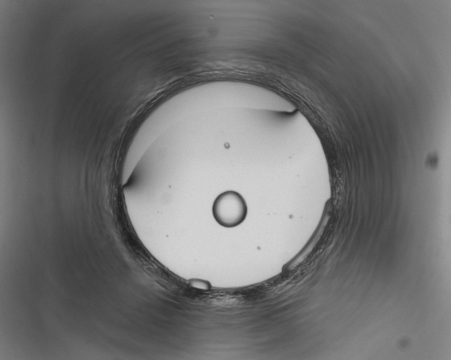 X0000116850456201001191644