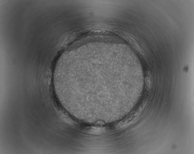 X0000116850458201001191644