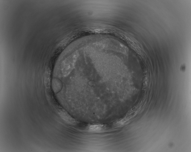 X0000116850461201001191644
