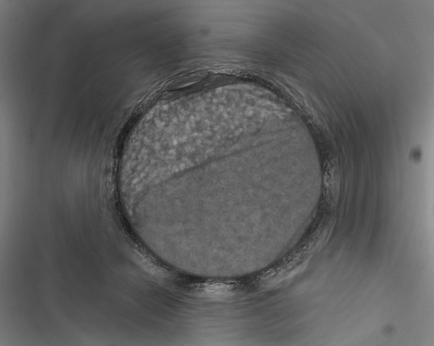 X0000116850462201001191644