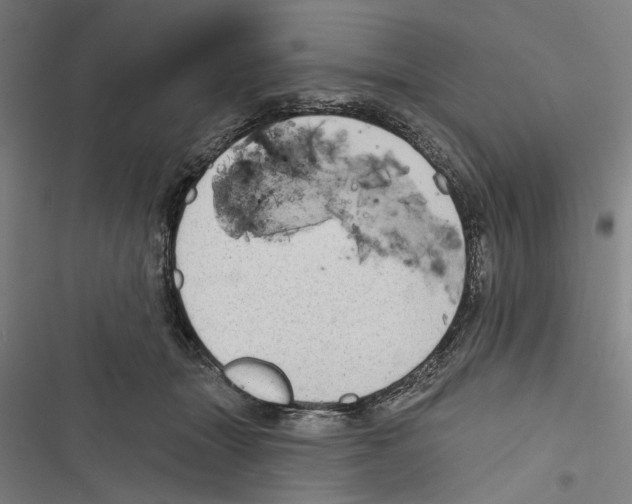 X0000116850463201001191644