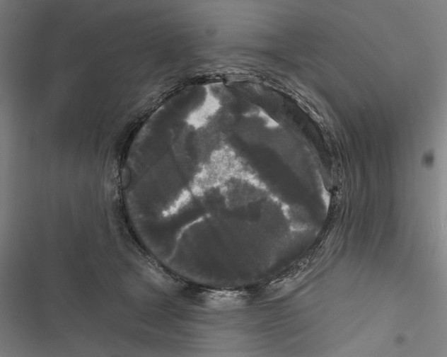 X0000116850465201001191644