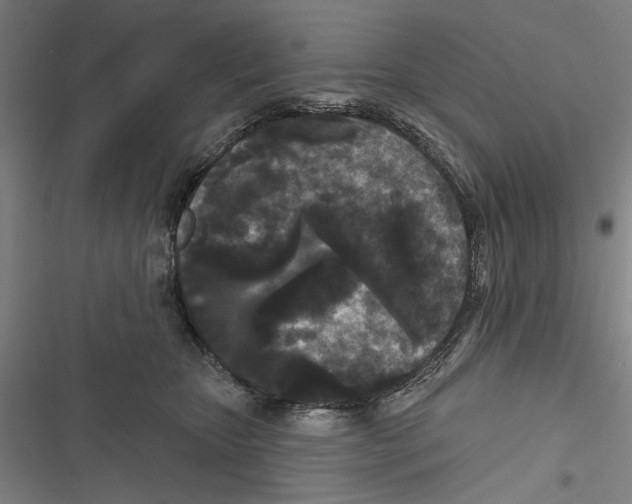 X0000116850467201001191644