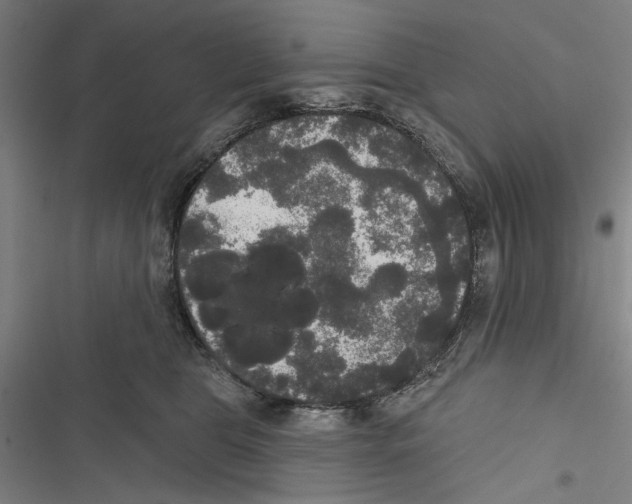 X0000116850469201001191644