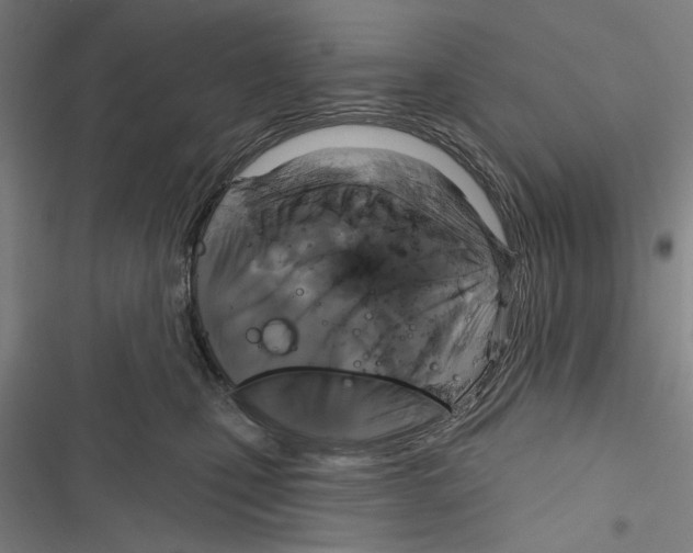X0000116850471201001191644