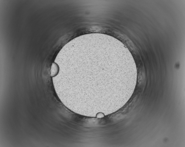 X0000116850473201001191644