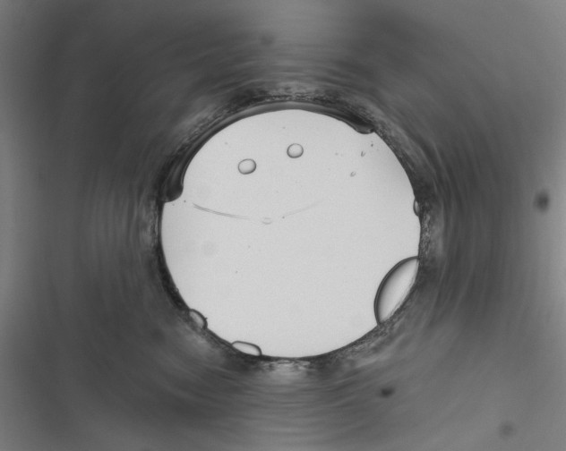 X0000116850474201001191644