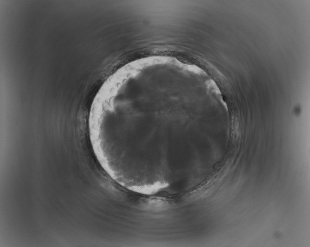 X0000116850475201001191644