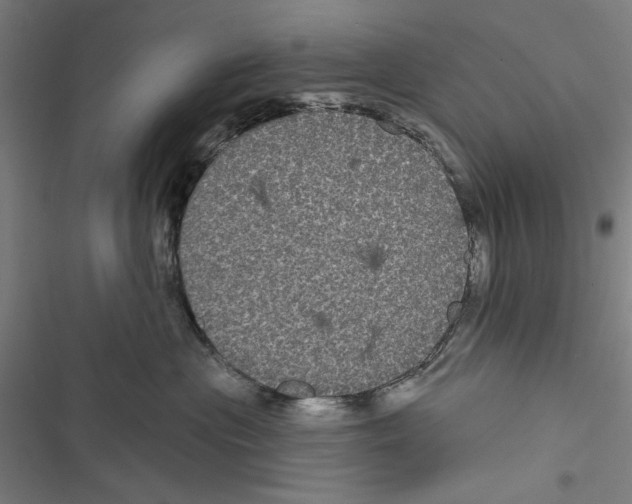 X0000116850477201001191644
