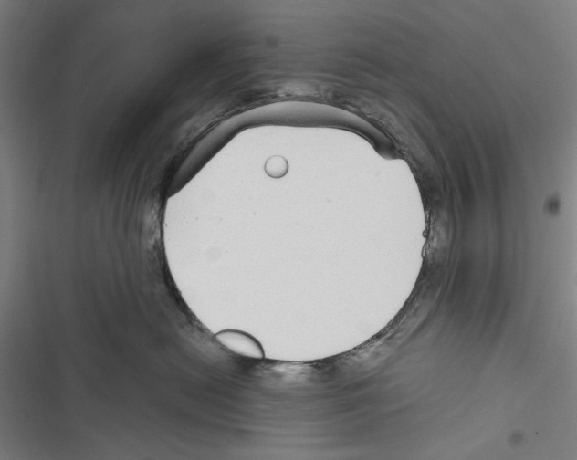X0000116850478201001191644