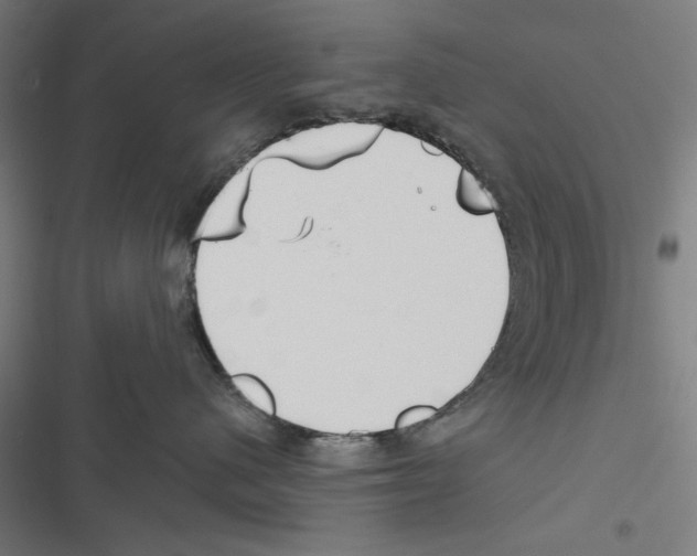 X0000116850480201001191644