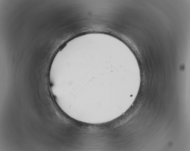 X0000116850481201001191643