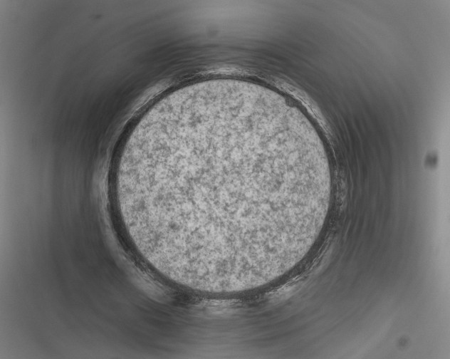 X0000116850482201001191643