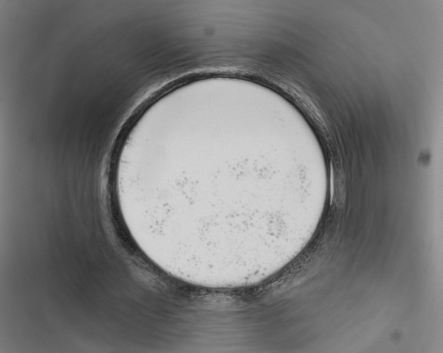 X0000116850483201001191643