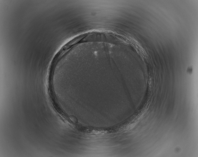 X0000116850484201001191643