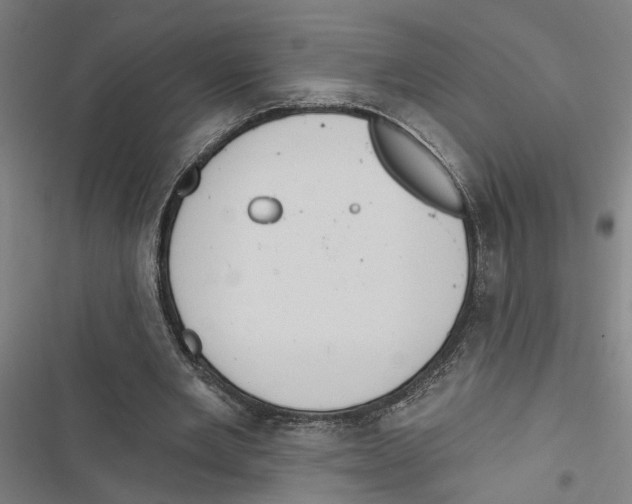 X0000116850485201001191643