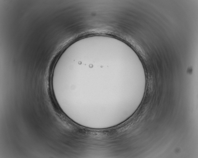 X0000116850486201001191643