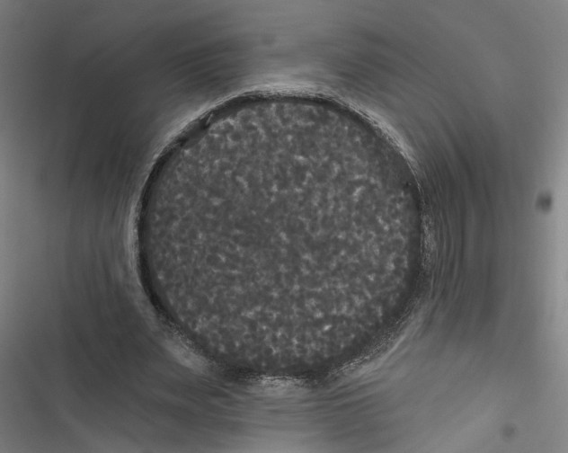 X0000116850487201001191643