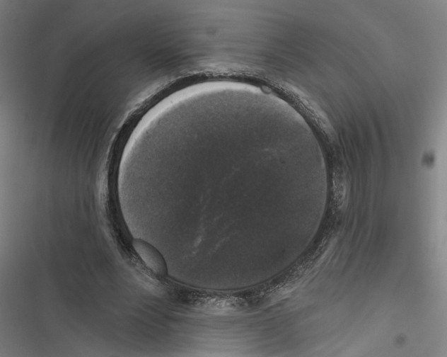 X0000116850488201001191643
