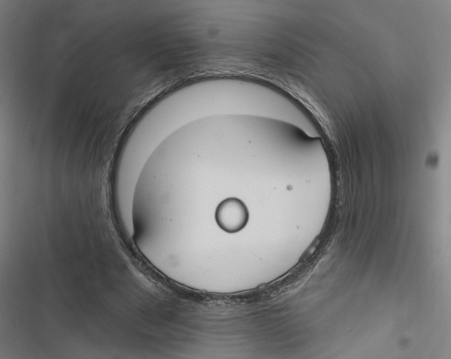 X0000116850489201001191643
