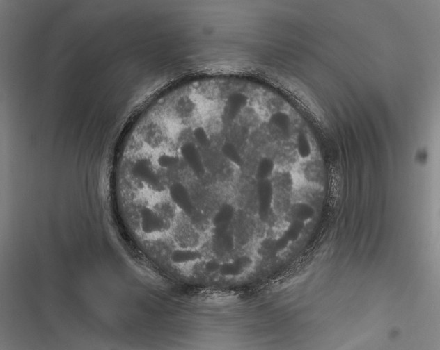 X0000116850491201001191643