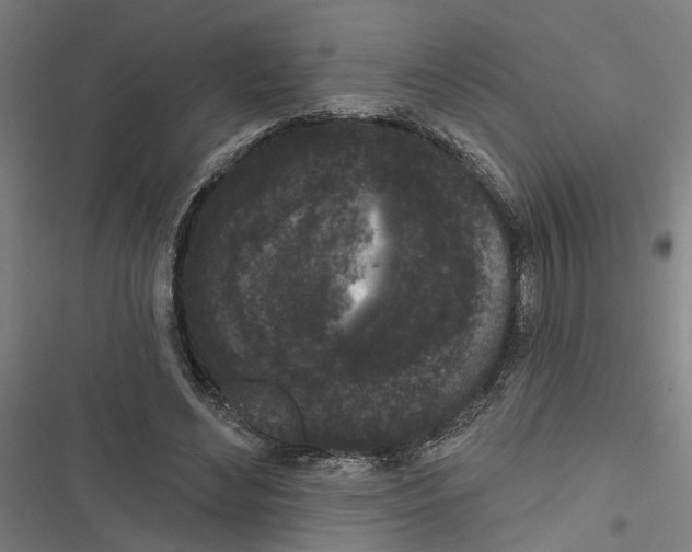 X0000116850492201001191643