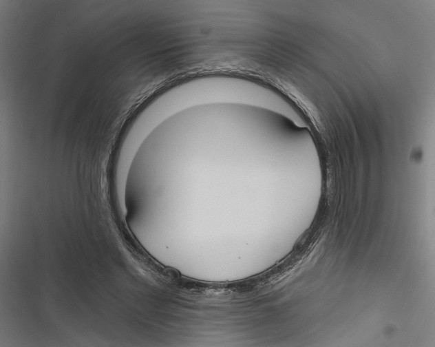 X0000116850493201001191643