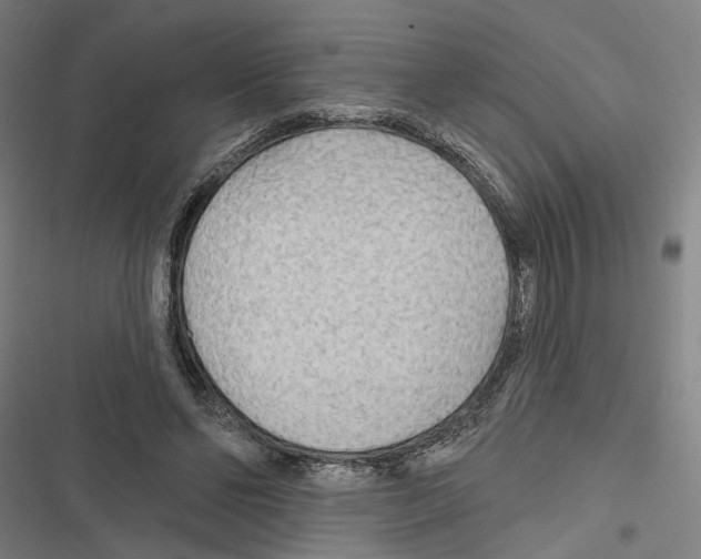 X0000116850494201001191643