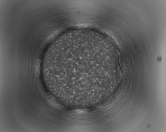 X0000116850495201001191643