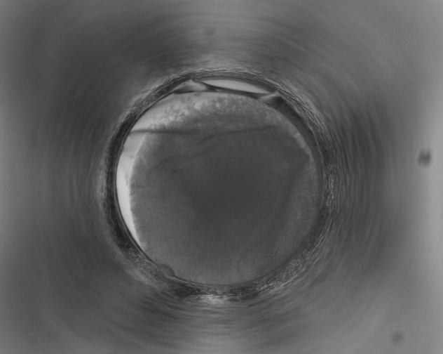 X0000116850496201001191643