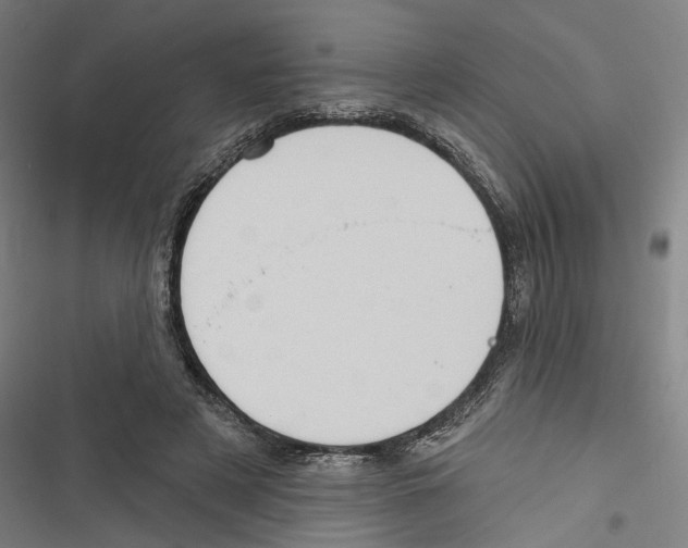 X0000116850497201001191643