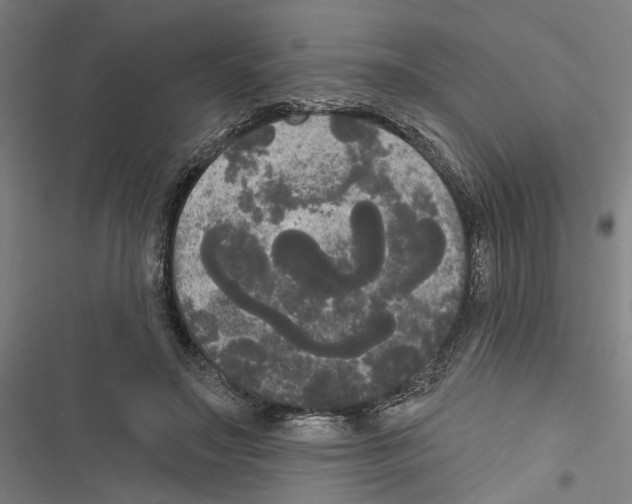 X0000116850499201001191643
