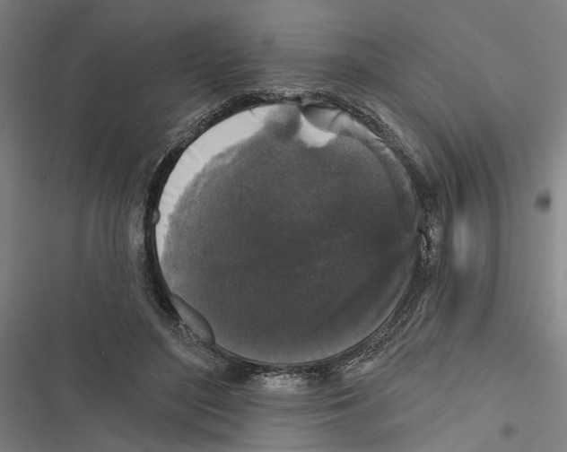 X0000116850500201001191643
