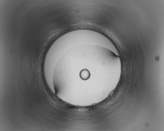 X0000116850501201001191643