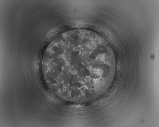 X0000116850503201001191643