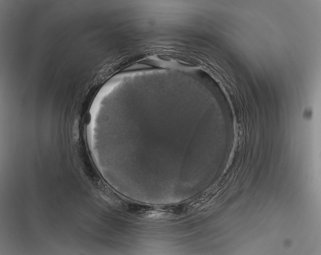 X0000116850504201001191643