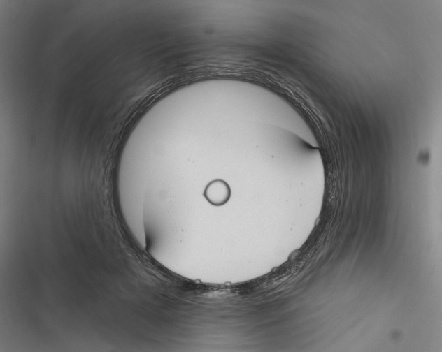 X0000116850505201001191643