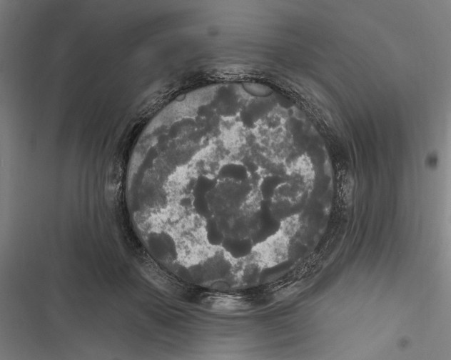 X0000116850507201001191643