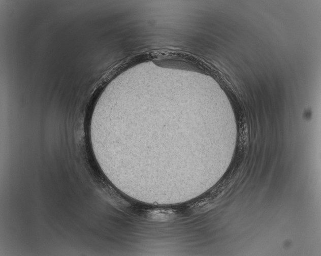 X0000116850508201001191643