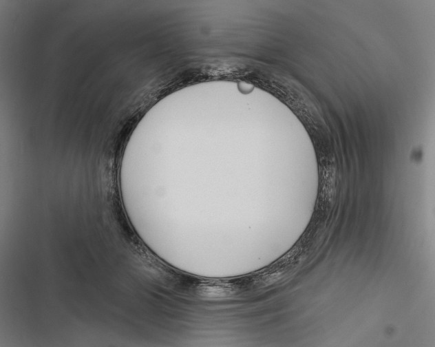 X0000116850510201001191643