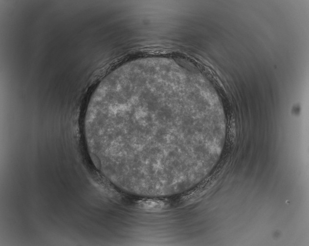 X0000116850512201001191643